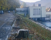 Castanii de sub Tâmpa, tăiaţi de Regia Pădurilor Kronstadt, plătiţi de Biblioteca Judeţeană Braşov