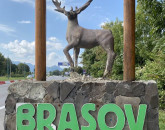 „Cerbul Cornel” nu îi va mai întâmpina pe şoferi la intrările în Braşov